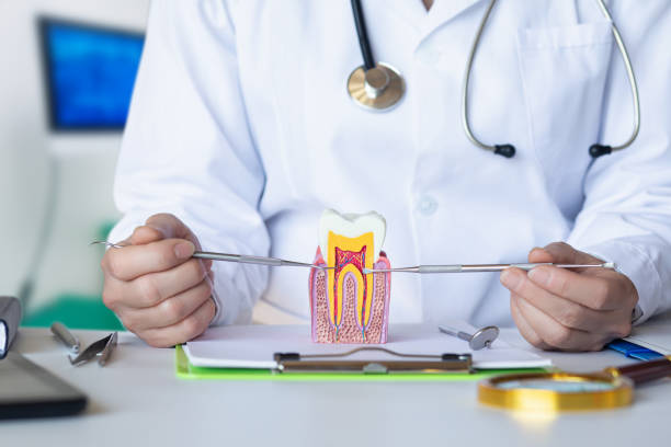 Best Emergency Dental Care for Broken or Chipped Teeth in Irvington, NY